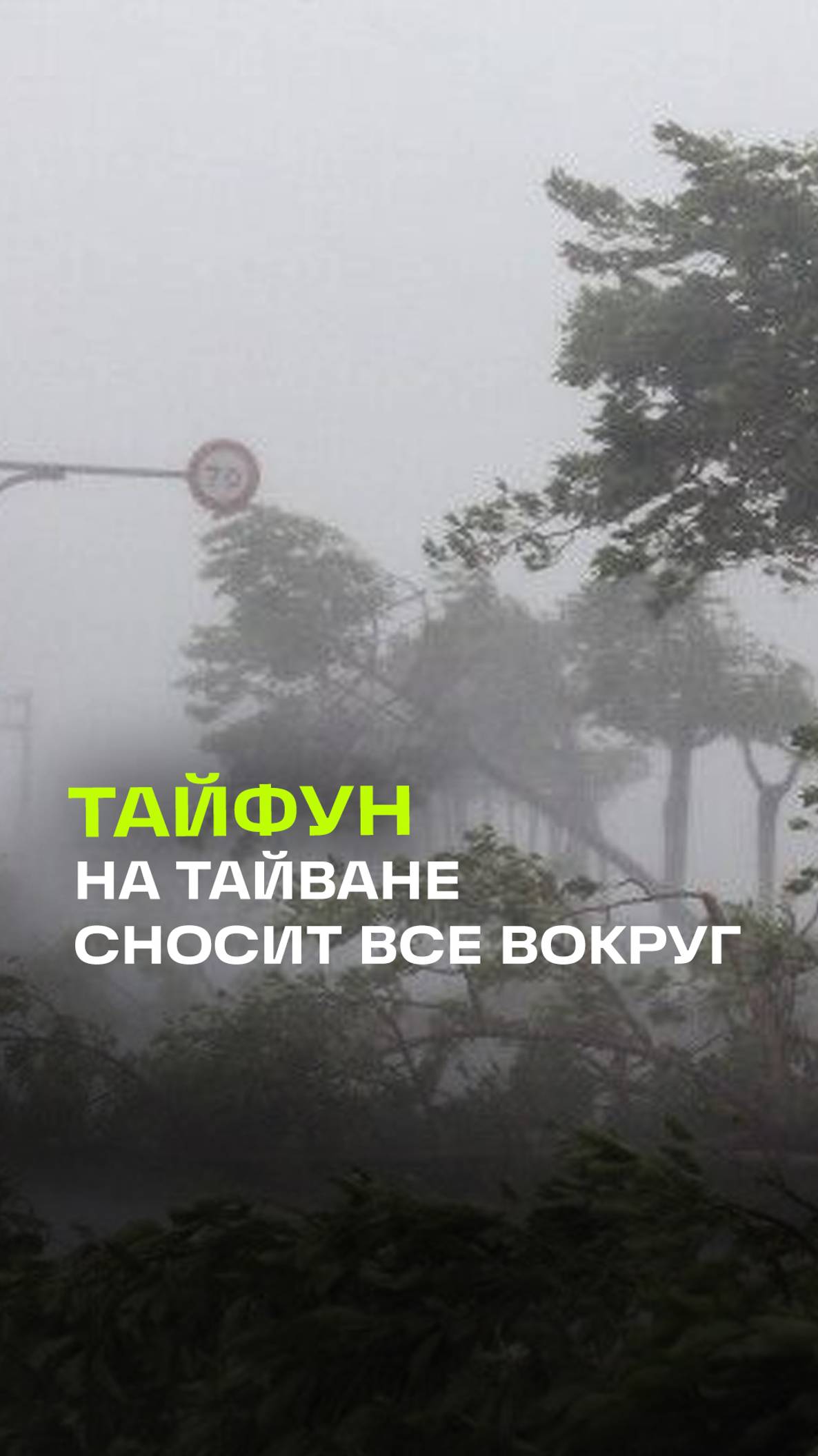 Сотни пострадавших и двое погибших: тайфун Кратон на Тайване сносит все на своем пути