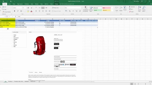 Sage eCommerce complex product spreadsheet tutorial