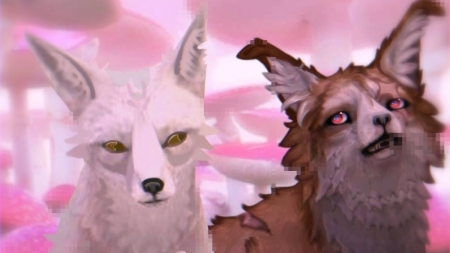лиса🦊🦊