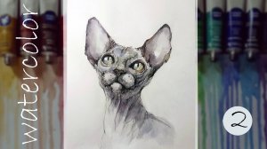 Рисуем кошку