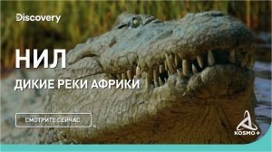 ДИКИЕ РЕКИ АФРИКИ: НИЛ | DISCOVERY