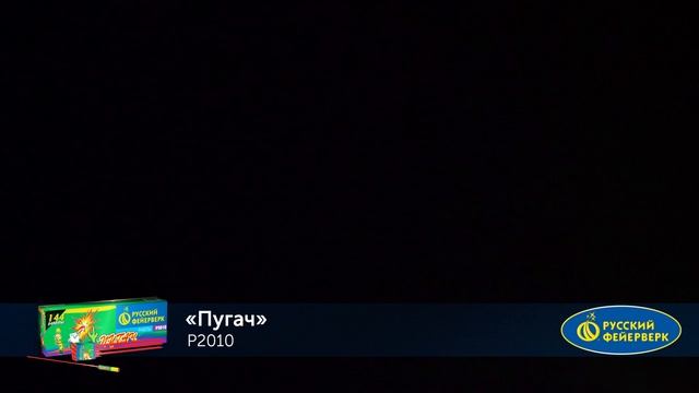 P 2010