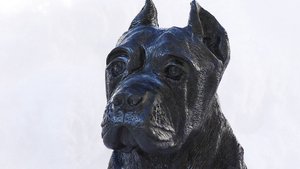 Скульптура собаки Кане-Корсо.