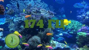 Музыка с частотой сольфеджио 174 ГЦ, для уменьшения физической и энергетической боли. Медитации НВБ
