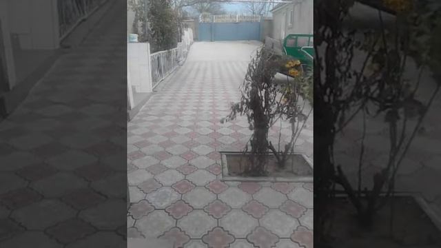 самые лучшие бомбочки смотреть онлайн