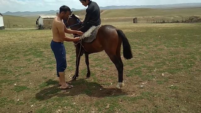 Ат үйрету САРЫБУЛАК АУЫЛДЫК ОКРУГИ смотреть онлайн