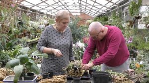 Зелёные подарки с Павлом Лобковым.