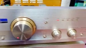 Готовые красавчики Pioneer A-D5A (1998 г.в., Шампань)
