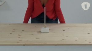 Кто умнее: человек или обезьяна?