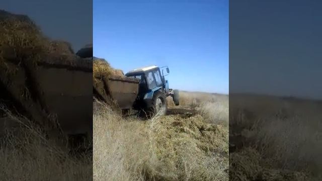 вывоз навоза )))