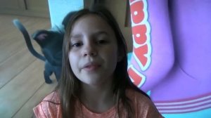 Gatos, Un Viaje de Vuelta a Casa