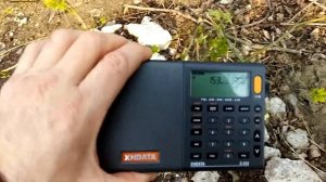 XHData D 808 обзор приема.(1)