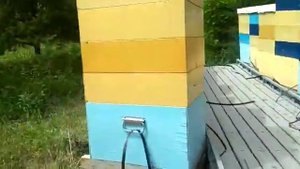 Модуль для перевозки пчел