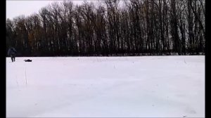 Охота на лису на приваде (часть1). Охота на лису С МР 18 МН .308 WIN