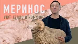 МЕРИНОС - САМАЯ КАЧЕСТВЕННАЯ ШЕРСТЬ. Уют, тепло и комфорт.