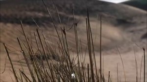 Cafe De Anatolia Desert Music Mix