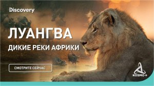 ДИКИЕ РЕКИ АФРИКИ: ЛУАНГВА | DISCOVERY