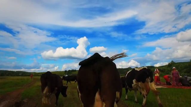 Голос из Народа-Боня и Кузьмич Сover Major Lazer & DJ Snake Lean On feat MØ (KOVRIK STYLE) смотреть онлайн