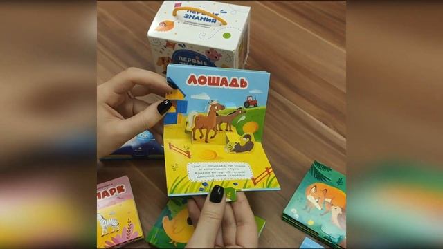 Набор «Первые знания» Pop-up смотреть онлайн