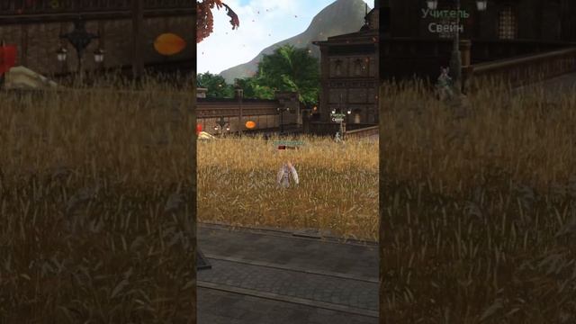 ОБНОВЛЕННЫЙ ОСЕНИЙ ГИРАН В LINEAGE2#lineage2 #lineage2e #l2 #la2  #shorts  #mmorpg  #l2e #game