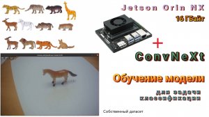 Jetson Orin NX. Обучение модели для задачи классификации (ConvNeXt)