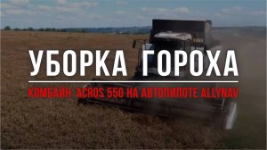 Уборка гороха Комбайном  ACROS 550 на автопилоте AllyNav