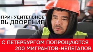 С Петербургом попрощаются 200 мигрантов-нелегалов