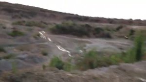 Сайга МК 03 и 223Rem