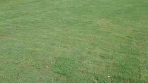 Покупка домов в США || Покупка домов в Америке || Жизнь в США || Рынок недвижимости в Америке