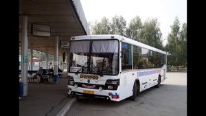 автобусы НЕФАЗ
