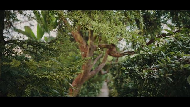 Тропический сад. Необычное свидание в Уфе для двоих