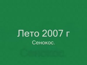 Лето Сенокос