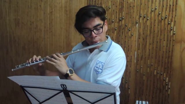 Coquimbo-20407352k-flauta traversa смотреть онлайн