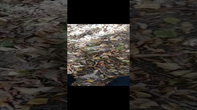 а вот и Колян