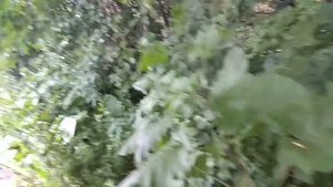 Сдаю медь, алюминий и собираю алюминиевые банки.