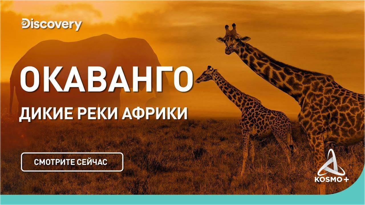 ДИКИЕ РЕКИ АФРИКИ: ОКАВАНГО| DISCOVERY