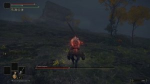 Elden Ring Птица смерти (Замогилье) (30)