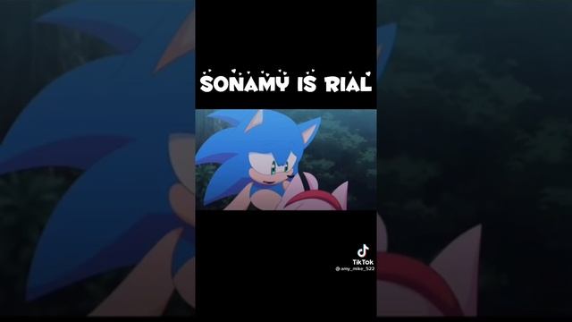 Sonic y amy nadie toca a mí bb