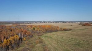 Осень. Музыка "Осень" Сергей Шнуров