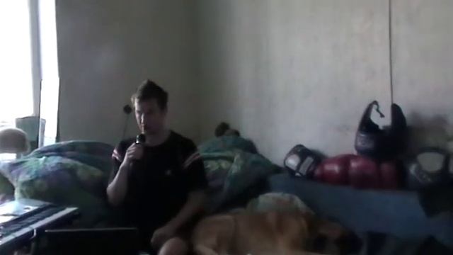 домашнее хоум видео смотреть онлайн