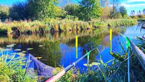 ЛОВЛЯ на ПОПЛАВОК осеннего КАРАСЯ!!!