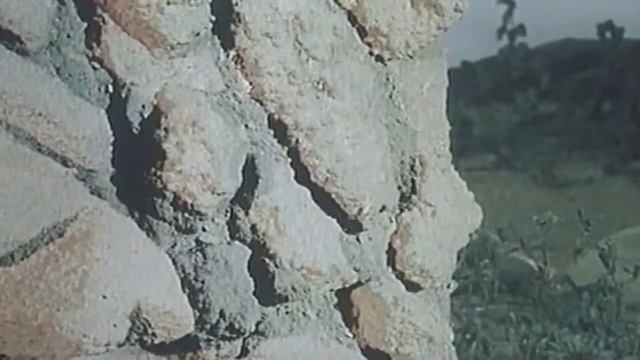 "Qara leylək" (Черный аист) 1985 смотреть онлайн