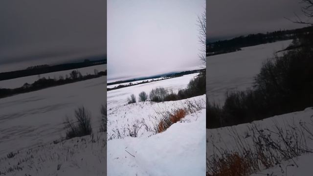 село Жестылево 📣, часть дома 🏘 15 соток ❤️ смотреть онлайн