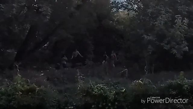 ВЛОГ. ЗАЖИГАЕМ С ДРУГОМ, В ЛЕС С РАЦИЯМИ смотреть онлайн