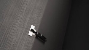 FGV Omnia L - петля с элегантным дизайном