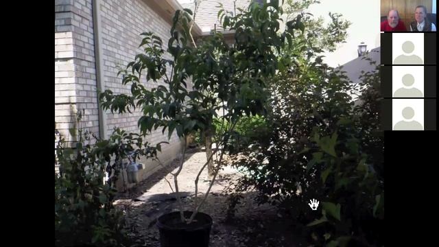 WeekendWalkRootsChapter4 смотреть онлайн