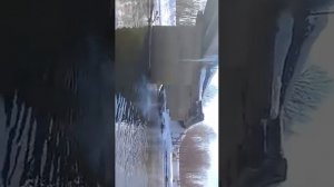 Сахалин (Тымовск) Синька чмо