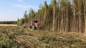 Разработка заросших сельхозугодий. Кировец К 744 Р2 VSL