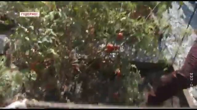 ЧЕЧНЯ сегодня Глава Чечни посетил старинный дом, обставленный в чеченских традициях смотреть онлайн