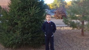 С днем Учителя! 2024